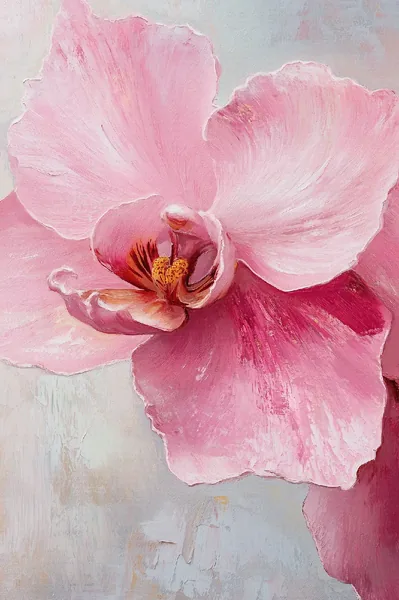 Orchid Bloom